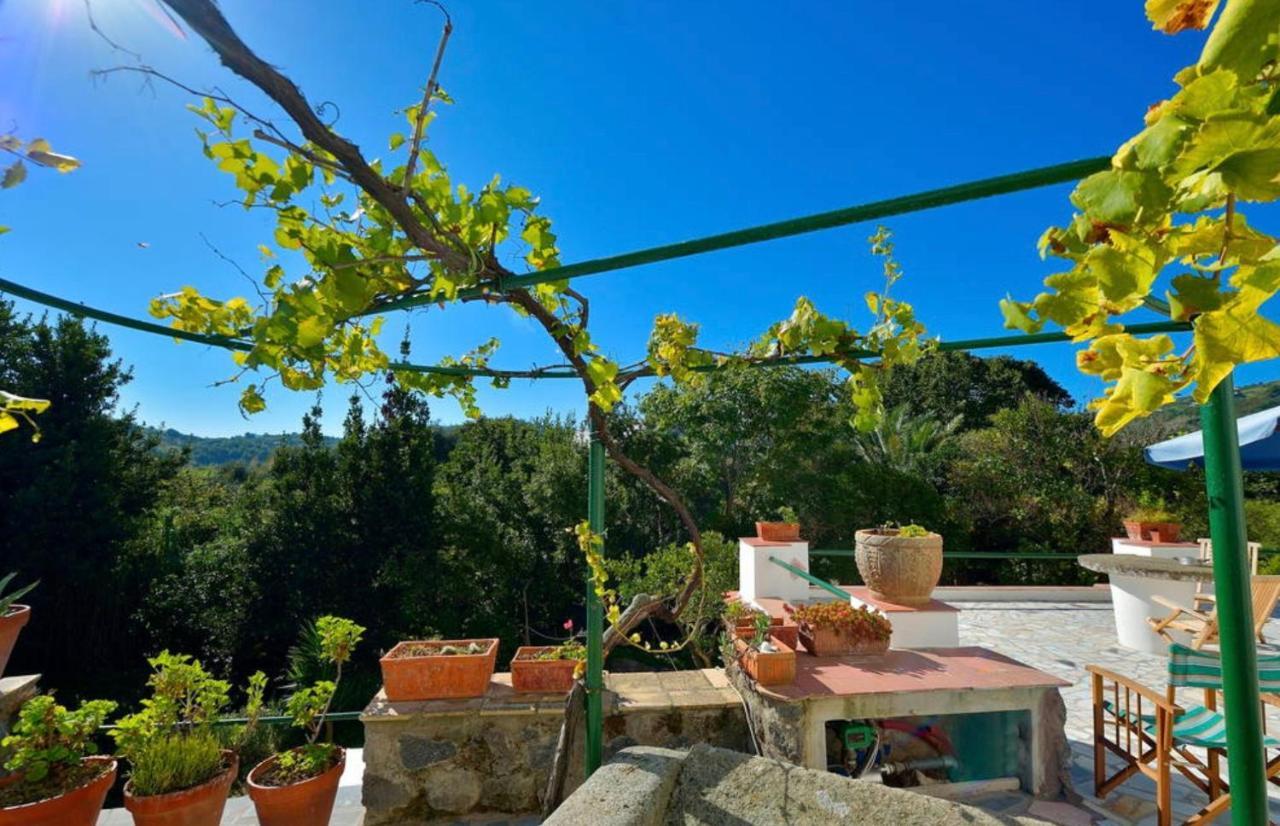 Villa Vincenzo Di Meglio Barano dʼIschia Exterior foto