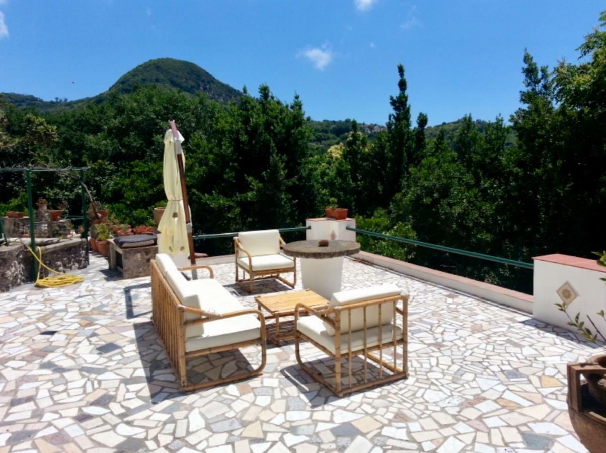 Villa Vincenzo Di Meglio Barano dʼIschia Exterior foto