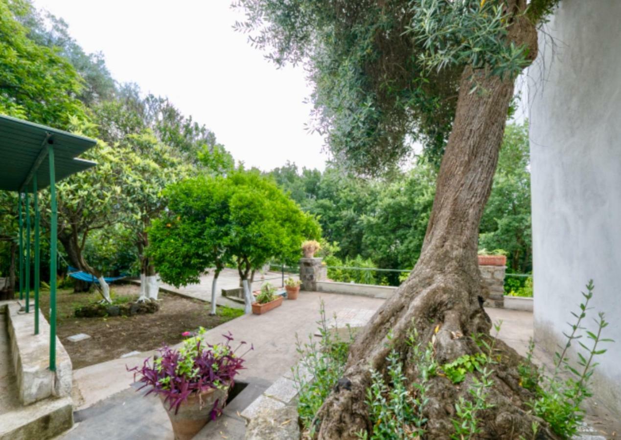 Villa Vincenzo Di Meglio Barano dʼIschia Exterior foto