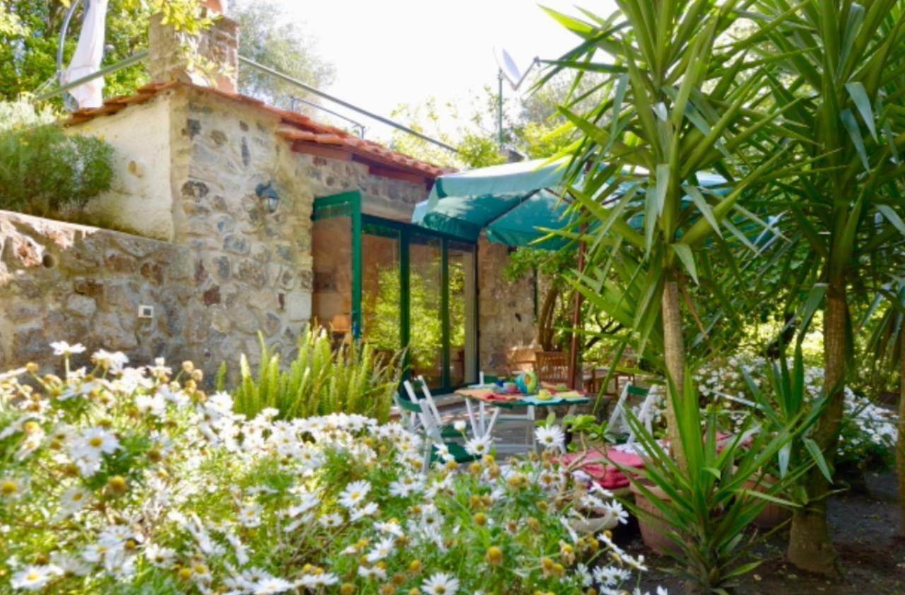 Villa Vincenzo Di Meglio Barano dʼIschia Exterior foto